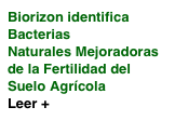 Biorizon identifica BacteriasNaturales Mejoradoras de la Fertilidad del Suelo Agrícola
Leer +

