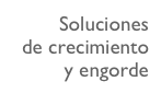 Soluciones
de crecimiento
y engorde