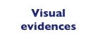Visual evidences